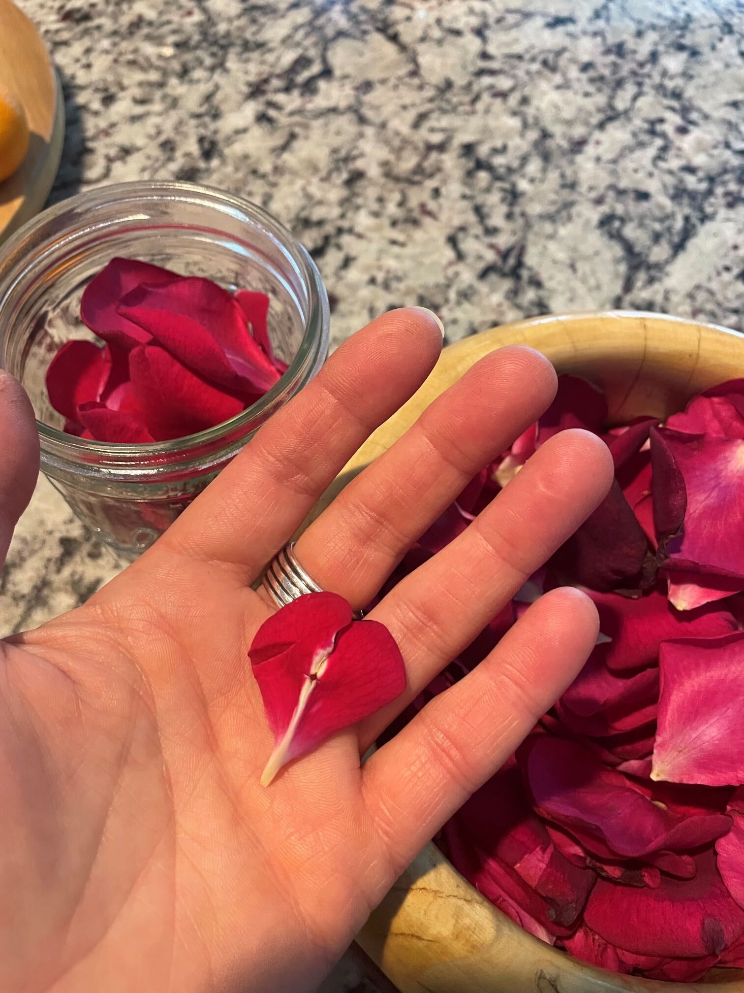 rose petals in hand